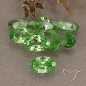 2.59 ct natürliche Lebendiges grün Tsavorit-Granat-Edelsteine, Oval, VS