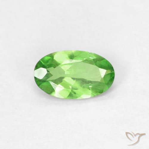 0.25ct Natürlicher Lebendiges grün Tsavorit-Granat, Oval, VVS-VS