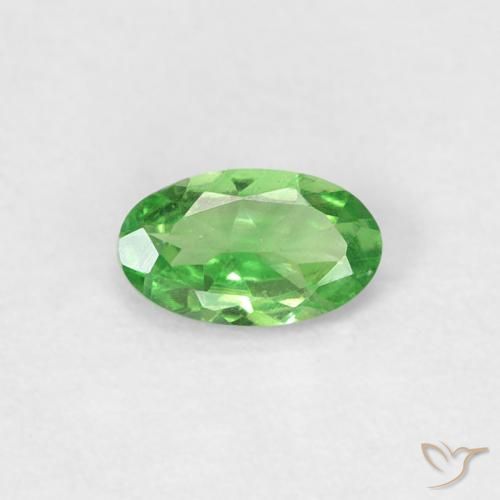 0.22ct Natürlicher Lebendiges grün Tsavorit-Granat, Oval, VVS-VS