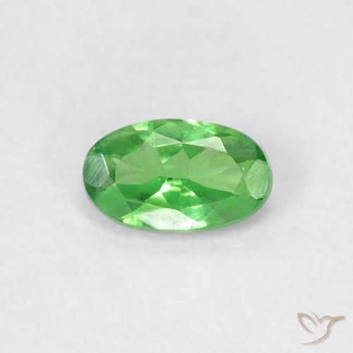 0.26ct Natürlicher Lebendiges grün Tsavorit-Granat, Oval, VVS-VS