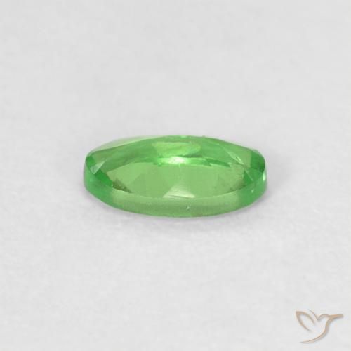 9,17 ctw natürlicher Lebendiges grün Tsavorit-Granat, Oval, VVS
