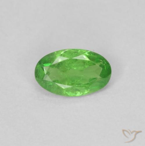 0.22ct Natürlicher Lebendiges grün Tsavorit-Granat, Oval, VS