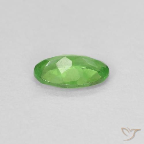 9,17 ctw natürlicher Lebendiges grün Tsavorit-Granat, Oval, VS