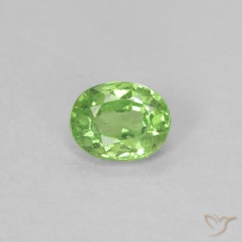 0.22ct Natürlicher Lebendiges grün Tsavorit-Granat, Oval, VS