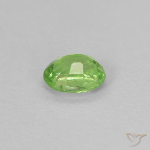 9,17 ctw natürlicher Lebendiges grün Tsavorit-Granat, Oval, VS