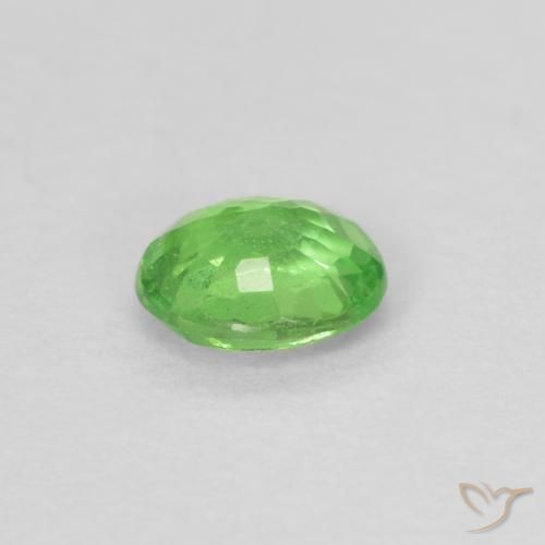 9,17 ctw natürlicher Lebendiges grün Tsavorit-Granat, Oval, VS