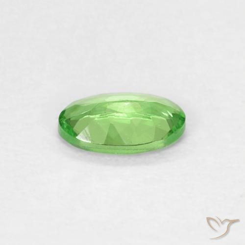 9,17 ctw natürlicher Lebendiges grün Tsavorit-Granat, Oval, VVS