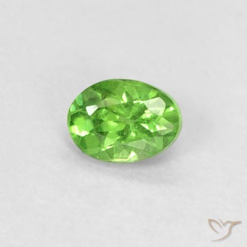 0.24ct Natürlicher Lebendiges grün Tsavorit-Granat, Oval, VS