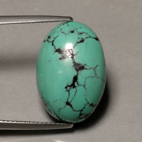 13,65 ctw natürlicher grüner Türkis, Oval Schliff, Lichtundurchlässig