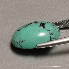 13,65 ctw natürlicher grüner Türkis, Oval Schliff, Lichtundurchlässig