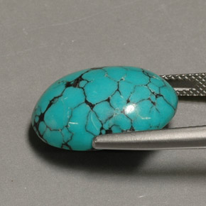 12,98 ctw natürlicher blauer Türkis, Oval Schliff, Lichtundurchlässig