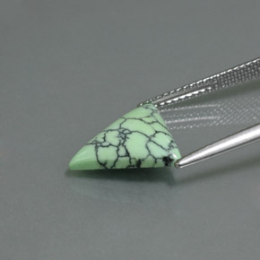 9,17 ctw natürlicher gelb-grün Türkis, Trillion, Lichtundurchlässig