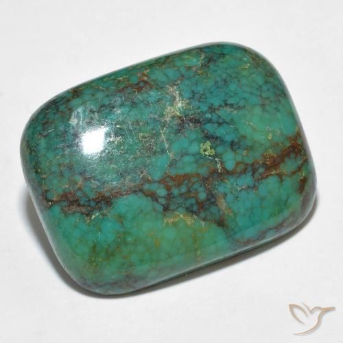 13.24ct Natürlicher Bläulich-grün Türkis, Kissen, Lichtundurchlässig