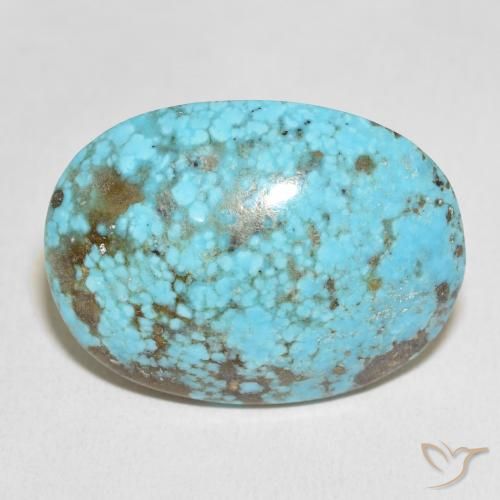 48.31ct Natürlicher grünlich-blau Türkis, Oval, Lichtundurchlässig