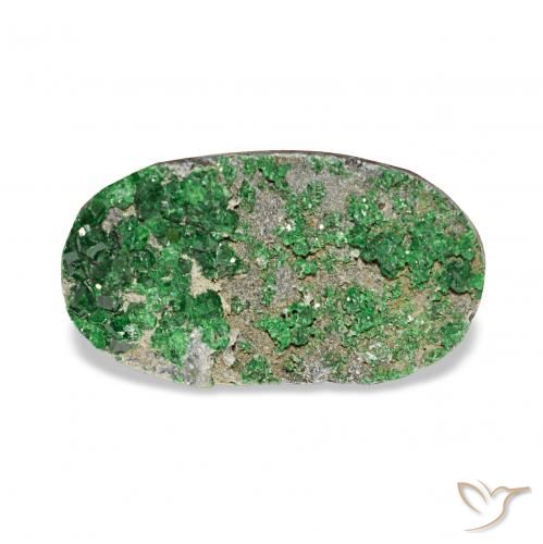 7.91ct Deep Earthy Green Uwarowit-Granat-Druse, Oval, Lichtundurchlässig