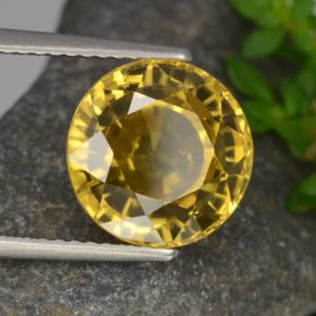 6,97 ctw natürlicher gelber Zirkon, Rundschliff, VVS