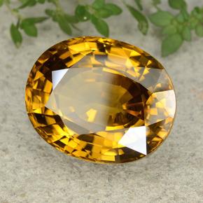 47,35 ctw natürlicher gelber Zirkon, Oval Schliff, VVS